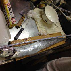 また引き釣りでドラゴン